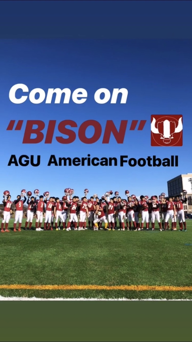 f:id:agubisonmg:20190405100108j:plain