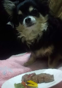 f:id:agufamily:20200409195423p:plain