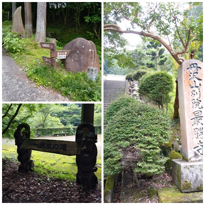 f:id:agura-huma:20190704102704j:plain f:id:agura-huma:20190704102704j:plain