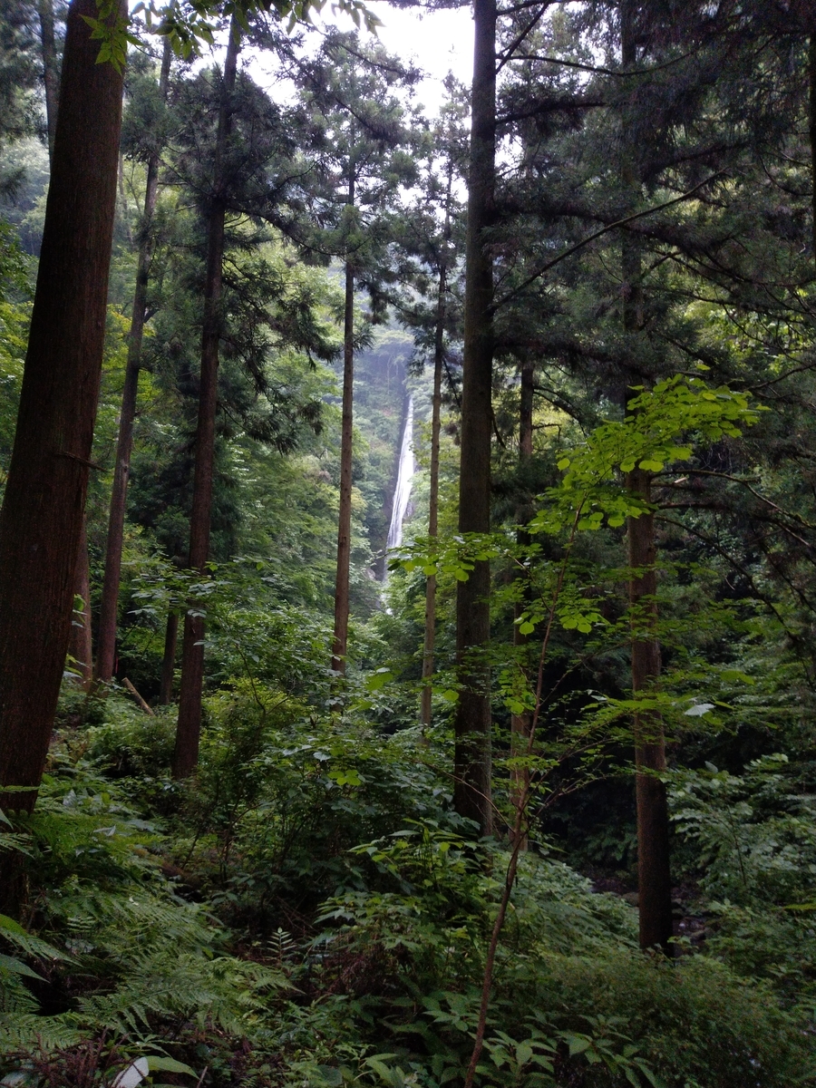 f:id:agura-huma:20190704103443j:plain f:id:agura-huma:20190704103443j:plain