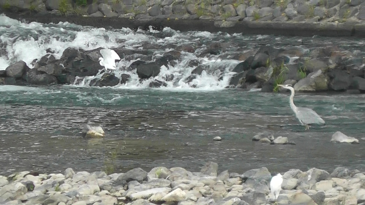f:id:agura-huma:20201015204324j:plain