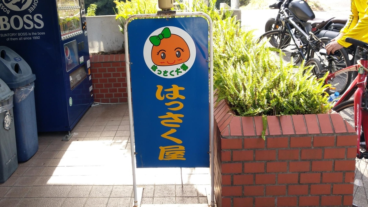 f:id:agura-huma:20201107204500j:plain