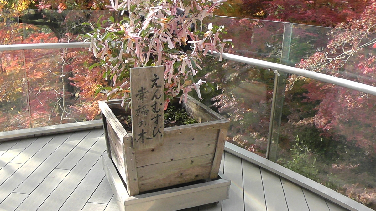 f:id:agura-huma:20201120124132j:plain