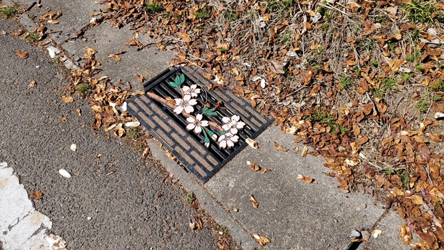 f:id:agura-huma:20210409105702j:plain