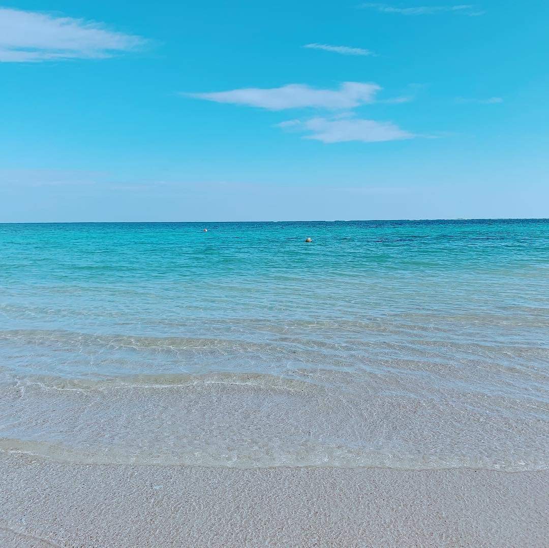f:id:aguri-therapyfarm-rainbow6868:20190430215209j:image f:id:aguri-therapyfarm-rainbow6868:20190430215209j:image