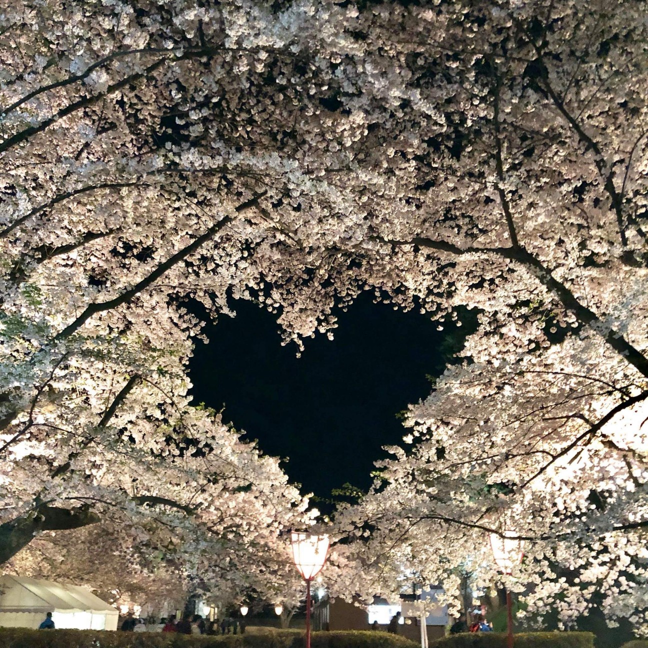 f:id:aguri-therapyfarm-rainbow6868:20190430233414j:image f:id:aguri-therapyfarm-rainbow6868:20190430233414j:image
