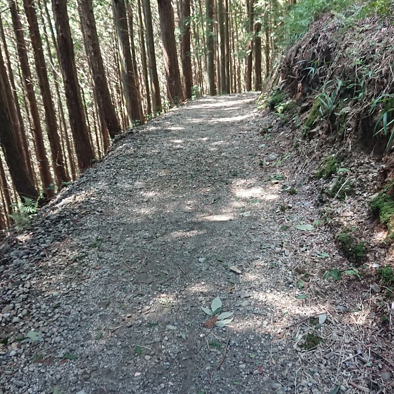 f:id:agy_yan:20181027110047j:plain