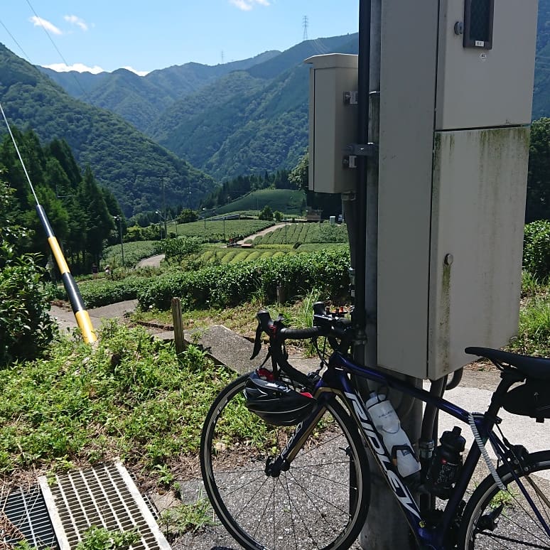 f:id:agy_yan:20181230214405j:plain