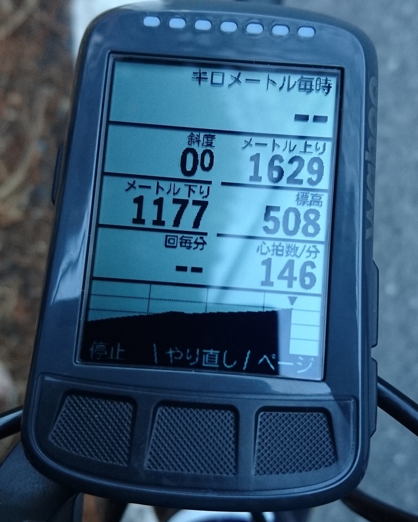 f:id:agy_yan:20190129002525j:plain f:id:agy_yan:20190129002525j:plain