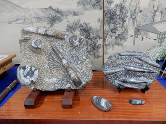 f:id:ah5318805:20191118090802j:plain