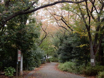 f:id:ah5318805:20191120085233j:plain