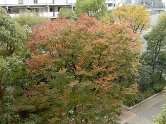 f:id:ah5318805:20191120085633j:plain