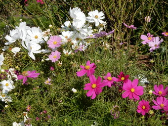 f:id:ah5318805:20191122093048j:plain