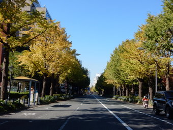 f:id:ah5318805:20191122093300j:plain