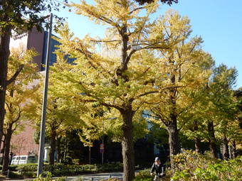 f:id:ah5318805:20191122093324j:plain