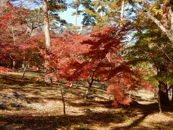 f:id:ah5318805:20191125091702j:plain