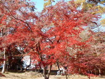 f:id:ah5318805:20191125091800j:plain