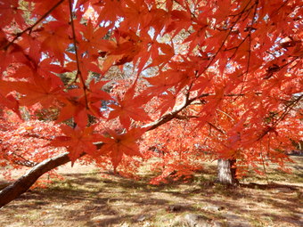 f:id:ah5318805:20191125091825j:plain