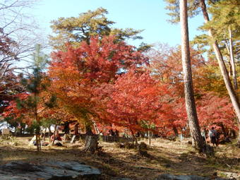 f:id:ah5318805:20191125091854j:plain