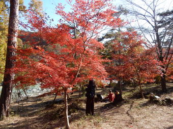 f:id:ah5318805:20191126092033j:plain