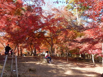 f:id:ah5318805:20191126092130j:plain