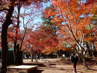 f:id:ah5318805:20191126092207j:plain