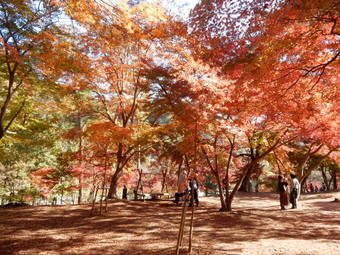 f:id:ah5318805:20191126092336j:plain