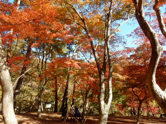 f:id:ah5318805:20191126092501j:plain