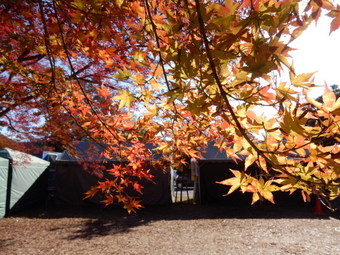 f:id:ah5318805:20191126092531j:plain