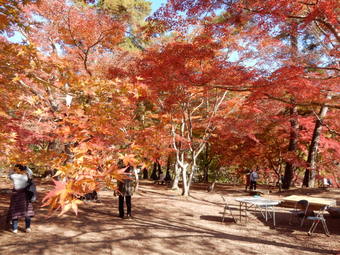 f:id:ah5318805:20191126092557j:plain