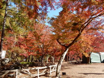 f:id:ah5318805:20191126092657j:plain