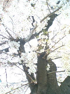 05-04-07_17-31~01.jpg