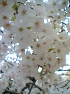 05-04-07_17-32.jpg