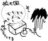 ari.gif