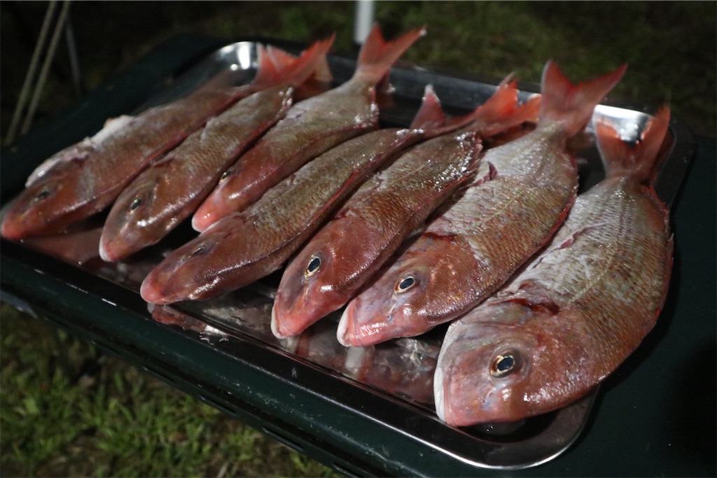 f:id:ahchang:20240520180244j:image