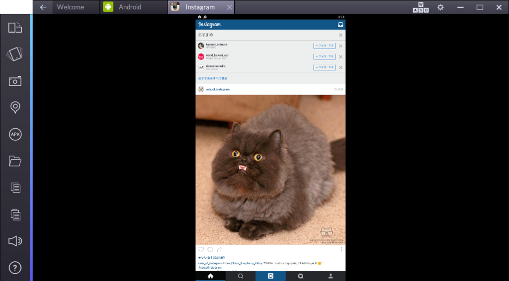 f:id:ahiru8usagi:20160224003646j:plain f:id:ahiru8usagi:20160224003646j:plain