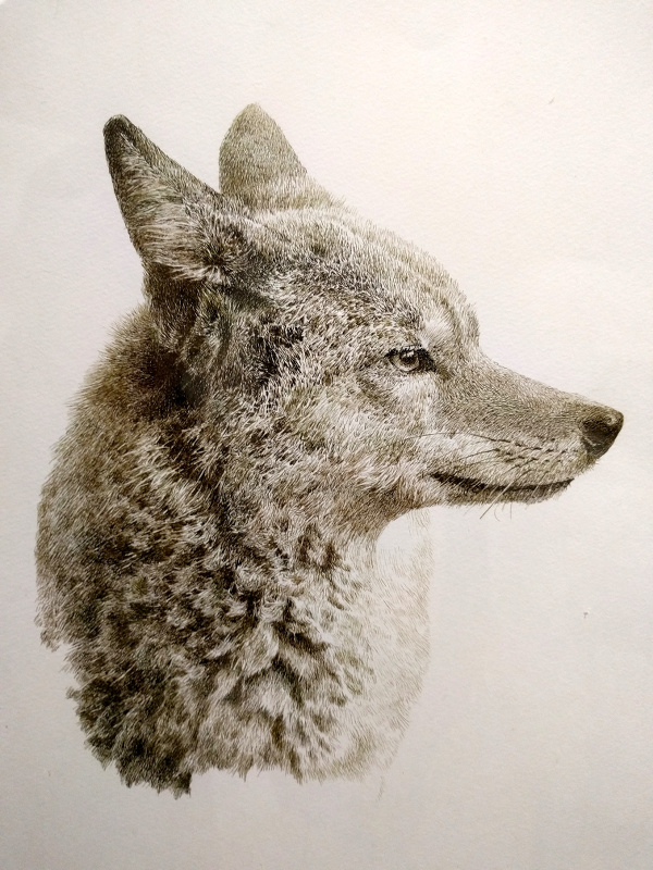 f:id:ahiru8usagi:20170122221104j:plain