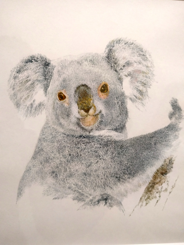 f:id:ahiru8usagi:20170122221116j:plain