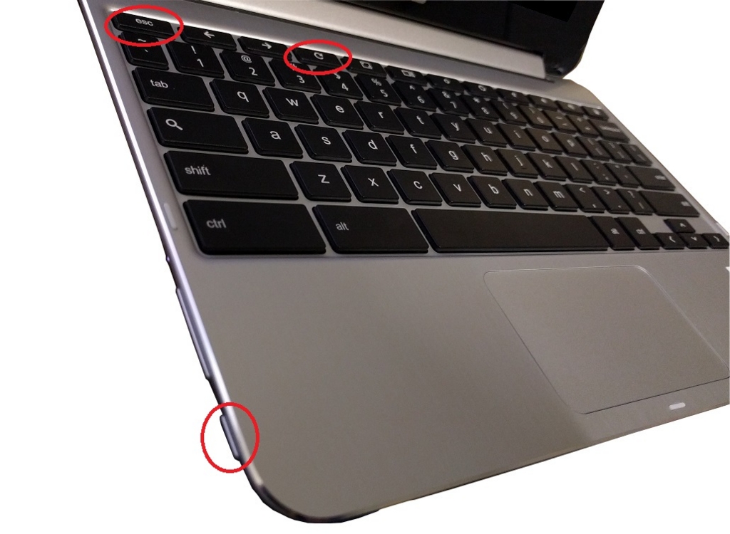 f:id:ahiru8usagi:20170213085333j:plain f:id:ahiru8usagi:20170213085333j:plain