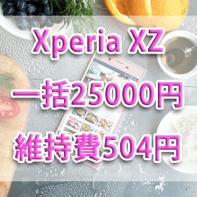 f:id:ahiru8usagi:20170619194412j:plain f:id:ahiru8usagi:20170619194412j:plain