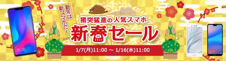 gooSimseller、2019年1月、キャンペーン、新春セール