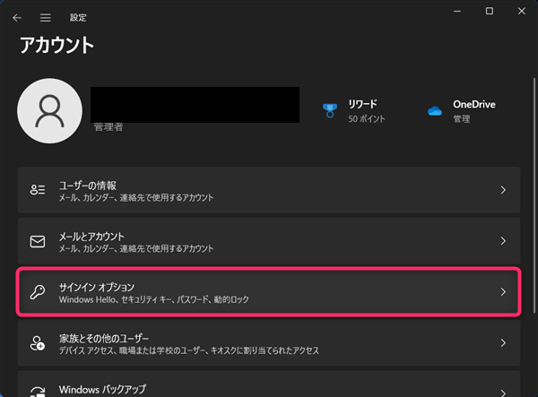 Windows 11、設定、アカウント、サインインオプション