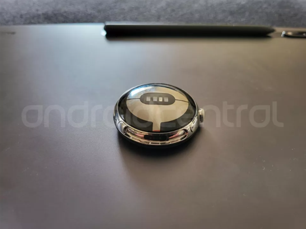 Pixel Watch、裏面