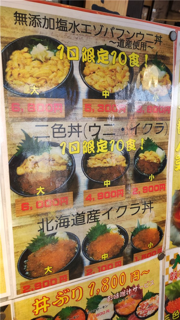 北海道、大磯、ランチ、エソバフンウニ