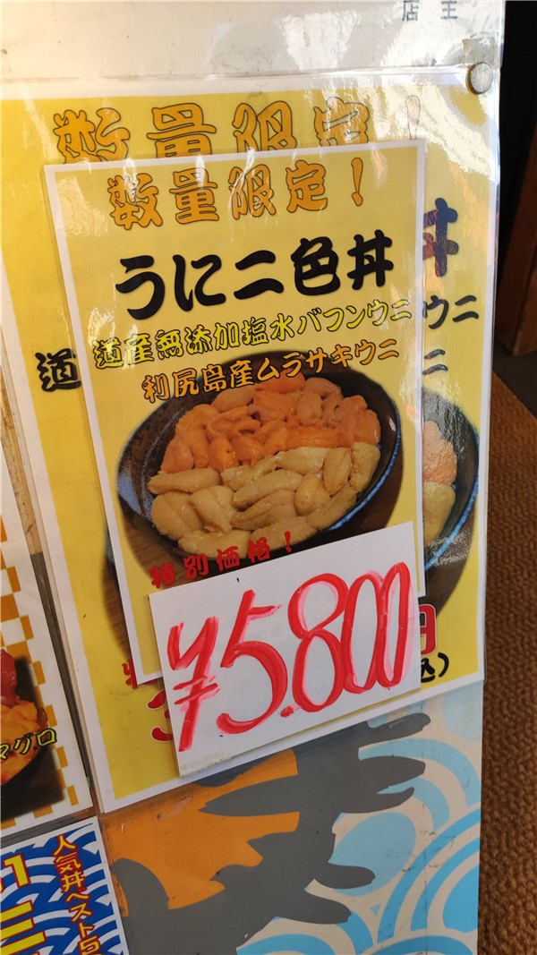 北海道、大磯、ランチ、ウニ2色丼