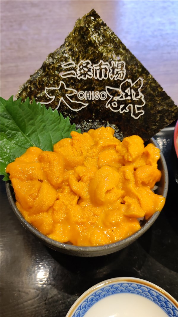 北海道、大磯、エゾバフンウニ丼