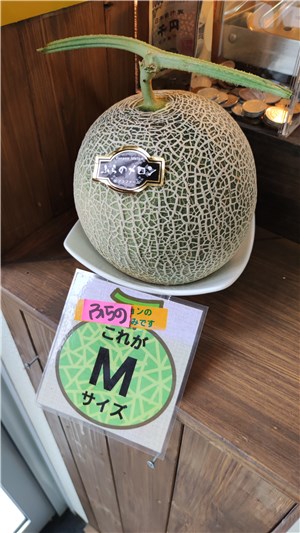 富良野、ポプラファーム中富良野本店、メロンのディスプレイ