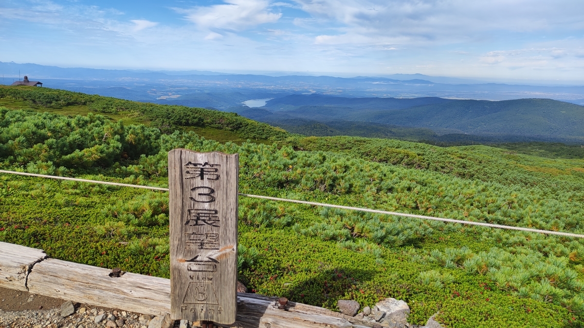 北海道旭岳、ハイマツ