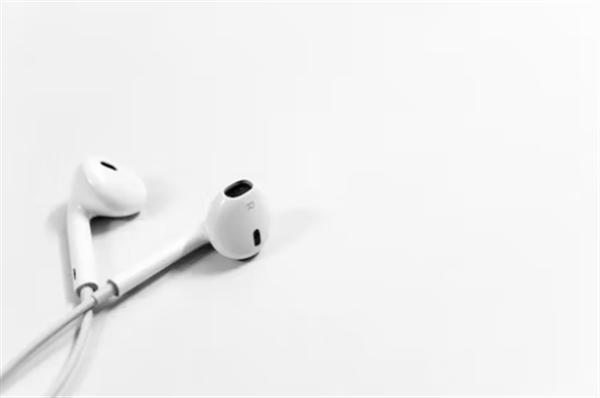 Wired Earphone、イメージ