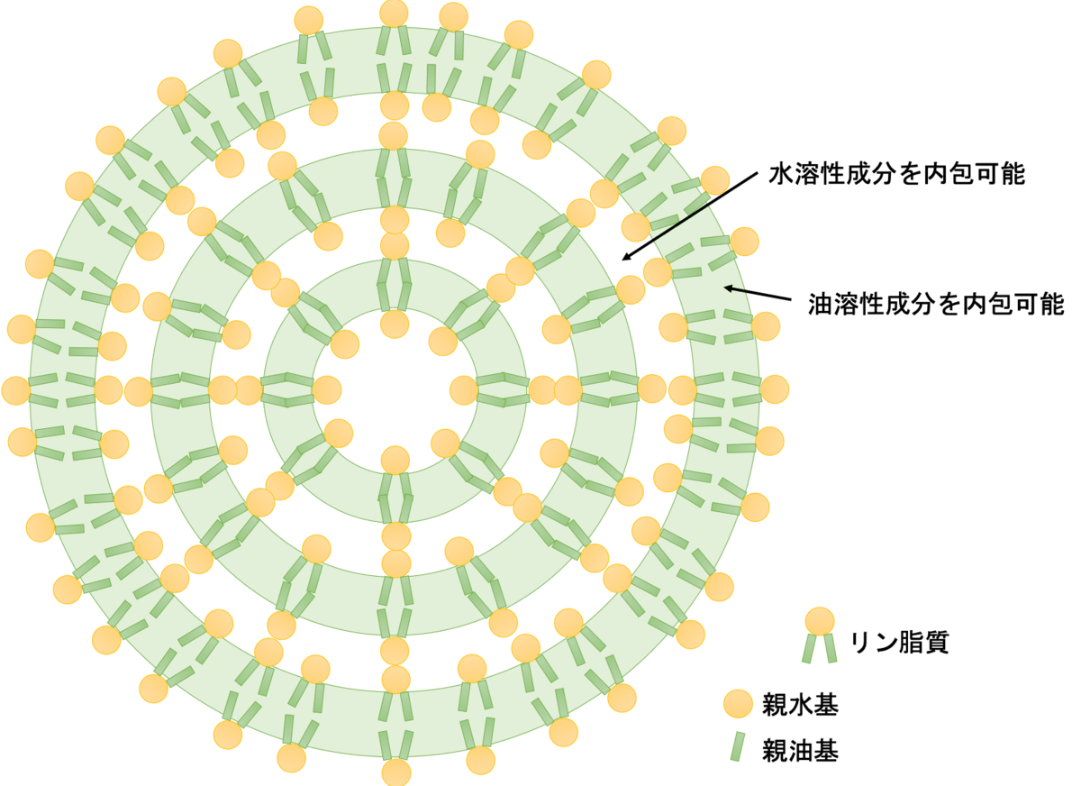 リポソームの模式図